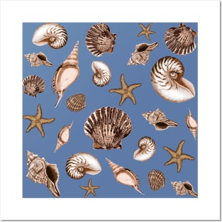 Seashells on French blue Posters and Art